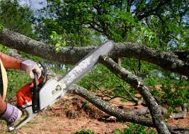 Soil Testing and Treatment in Gonzales, TX